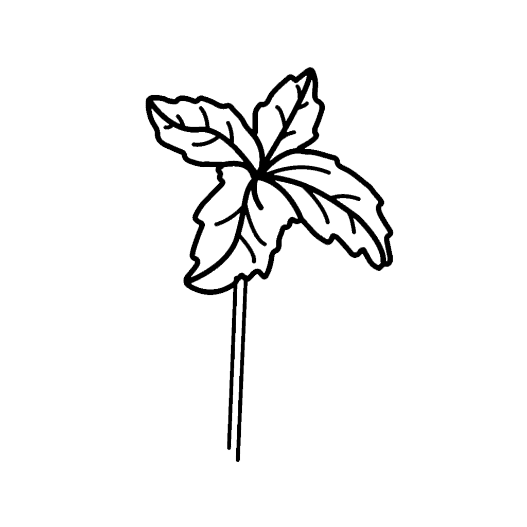 Nettle-1-Opacity-100